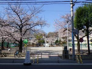 菊川公園