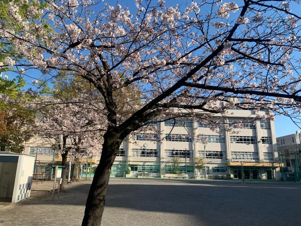 墨田区立菊川小学校