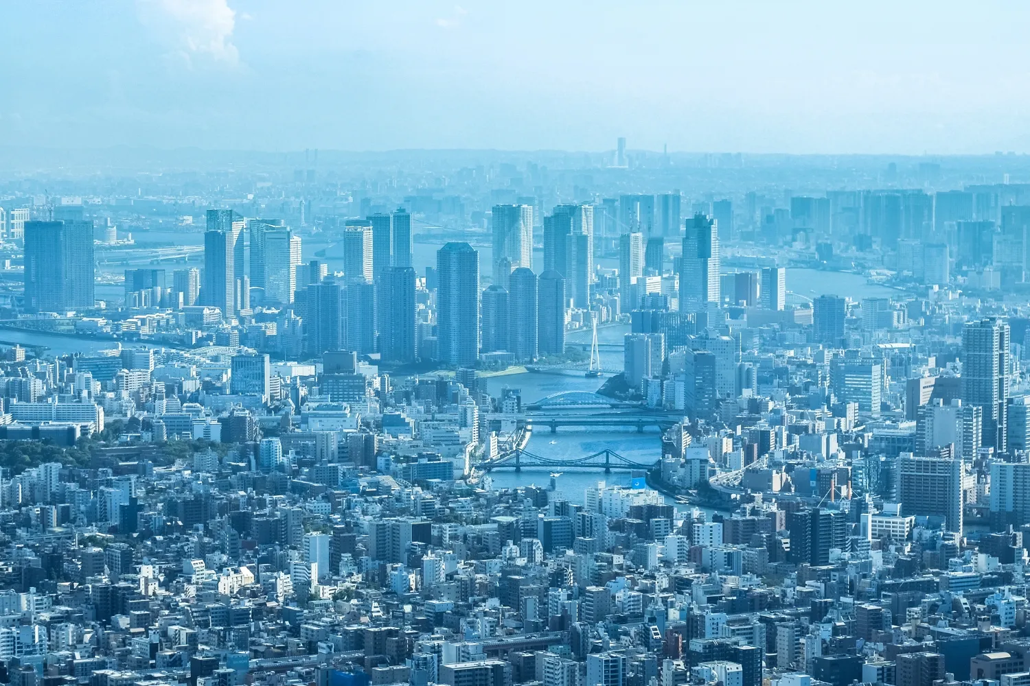 都市のエリア